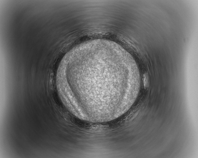X0000096431059200802141427