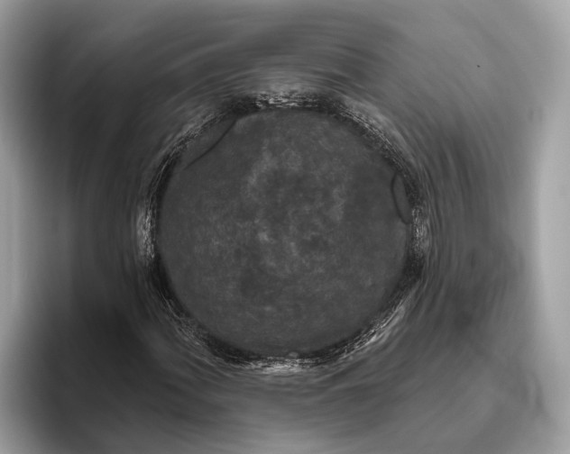 X0000096431060200802141427