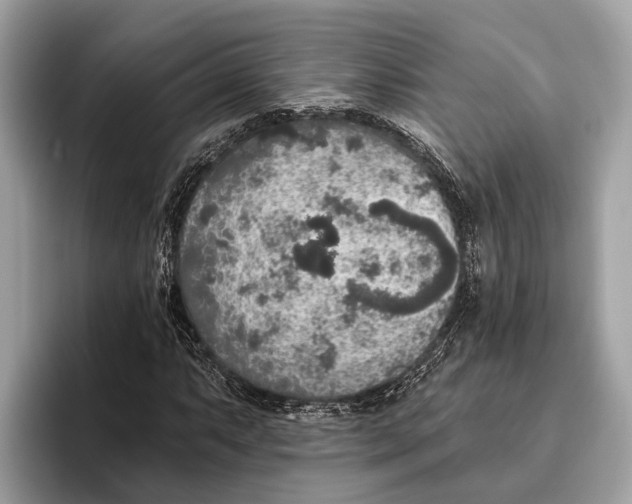 X0000096431063200802141427