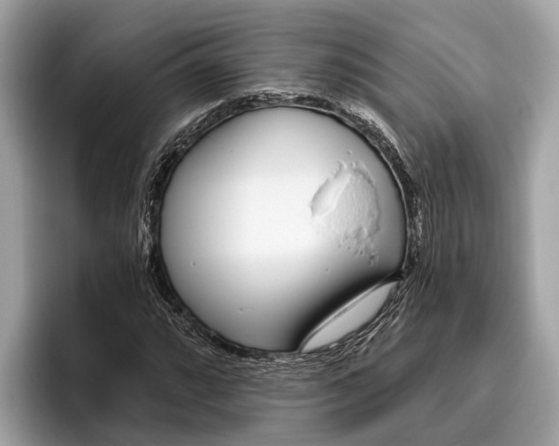 X0000096431064200802141427