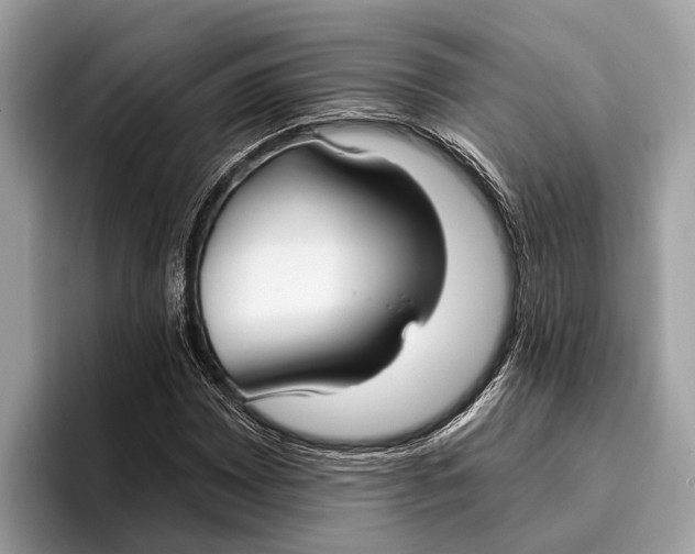X0000096431065200802141427
