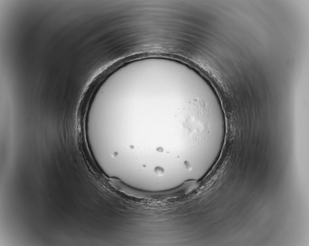 X0000096431070200802141427