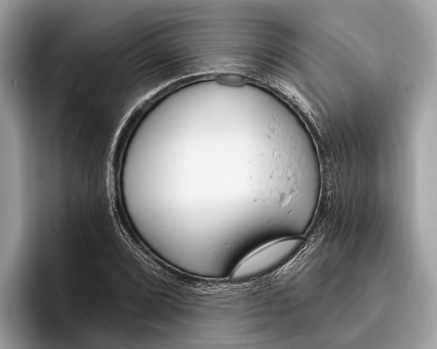 X0000096431072200802141427