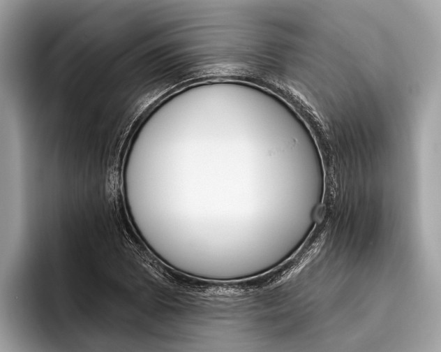 X0000096431073200802141427
