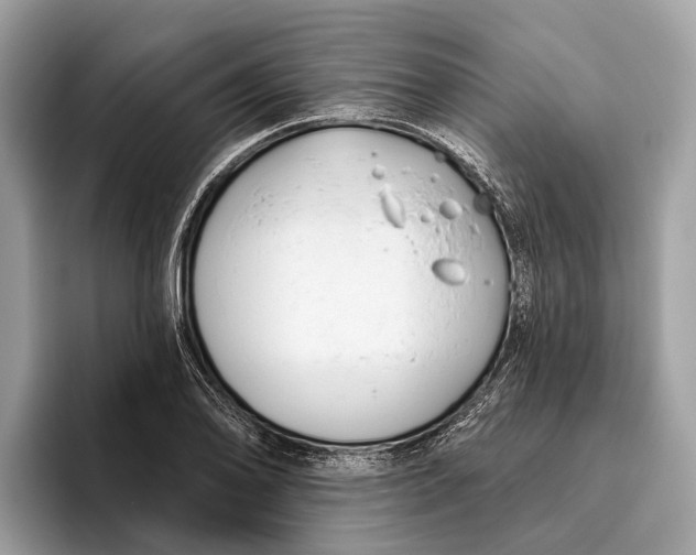 X0000096431078200802141427