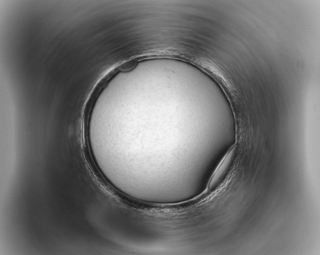 X0000096431079200802141427