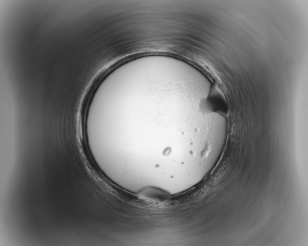 X0000096431080200802141427