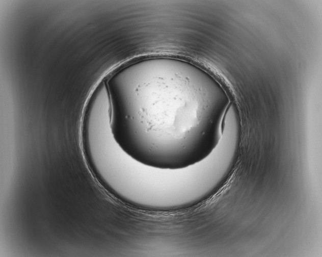 X0000096431085200802141427