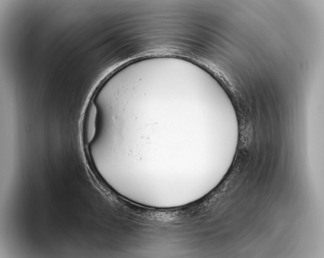 X0000096431086200802141427