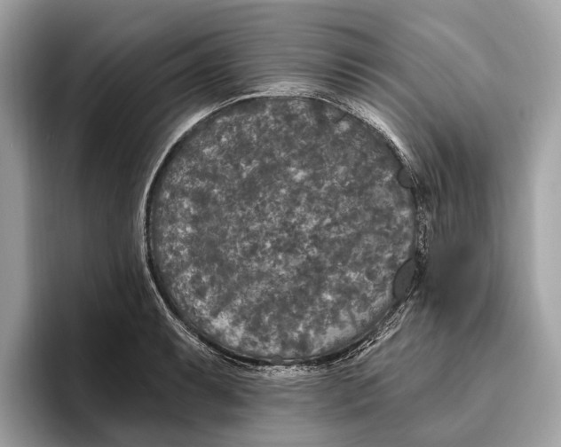 X0000096431087200802141427