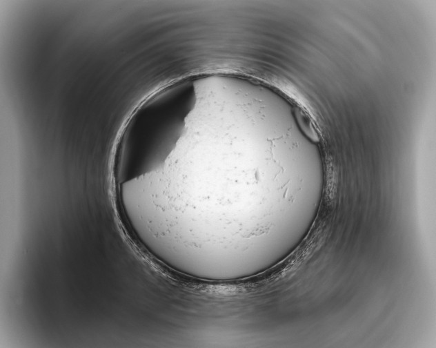 X0000096431088200802141427