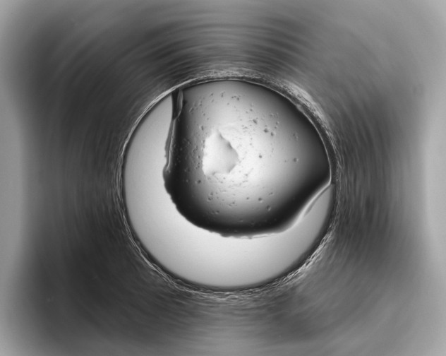 X0000096431089200802141427