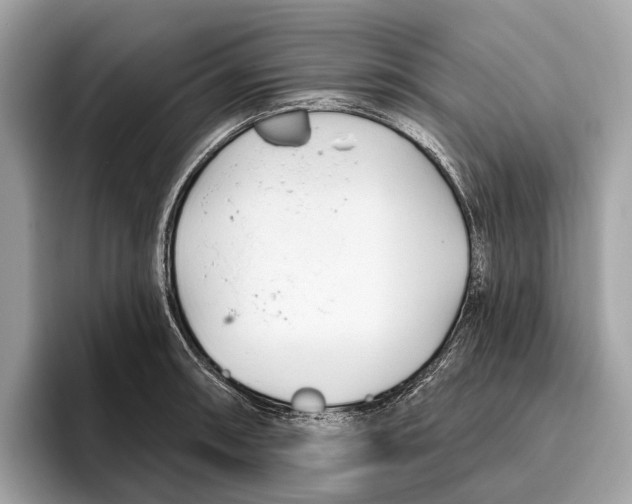 X0000096431090200802141427