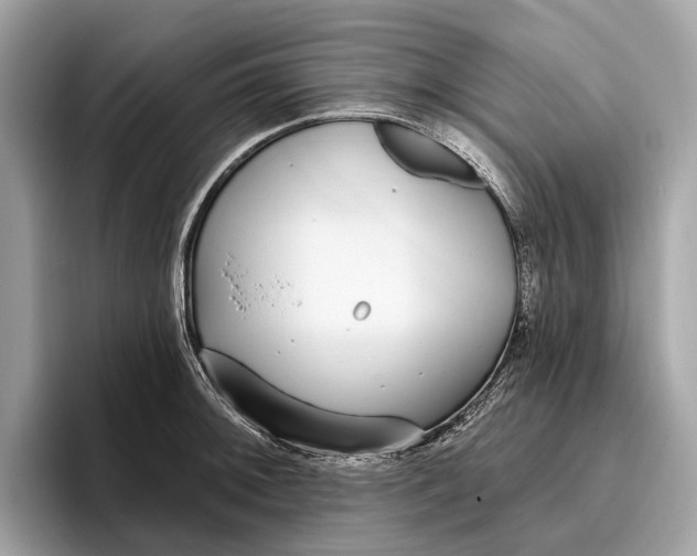 X0000096431092200802141427