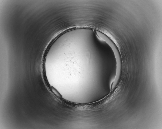 X0000096431093200802141427
