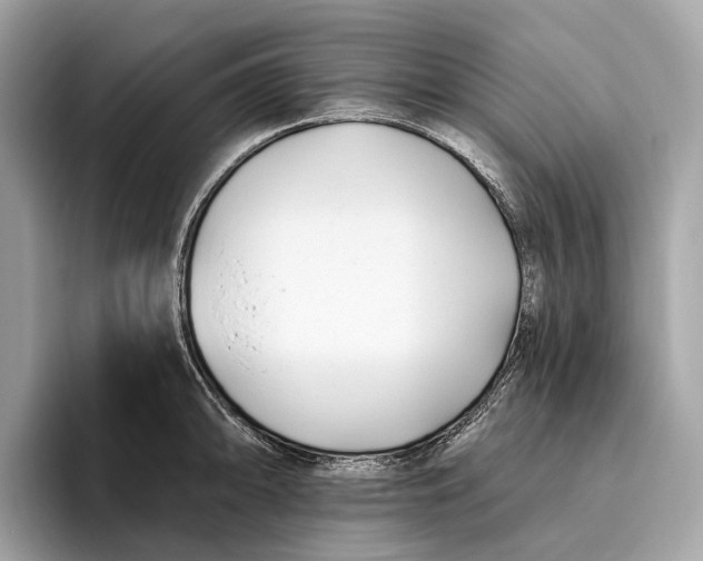X0000096431094200802141427