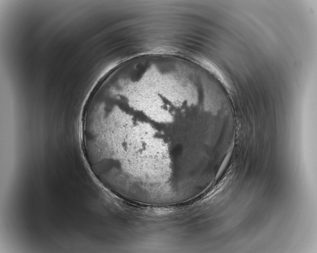 X0000096431095200802141427