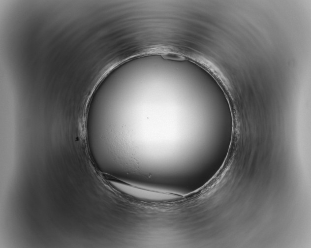 X0000096431097200802141427