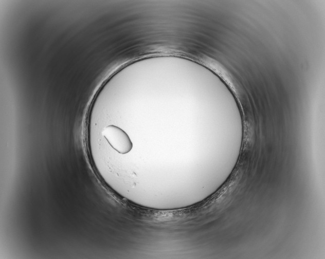 X0000096431098200802141427