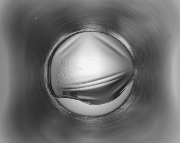 X0000096431099200802141427