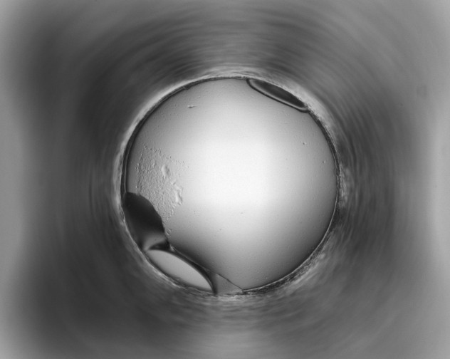 X0000096431102200802141427