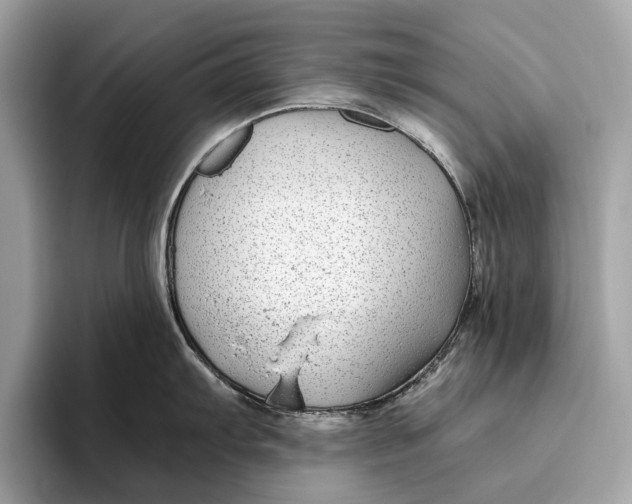 X0000096431103200802141427