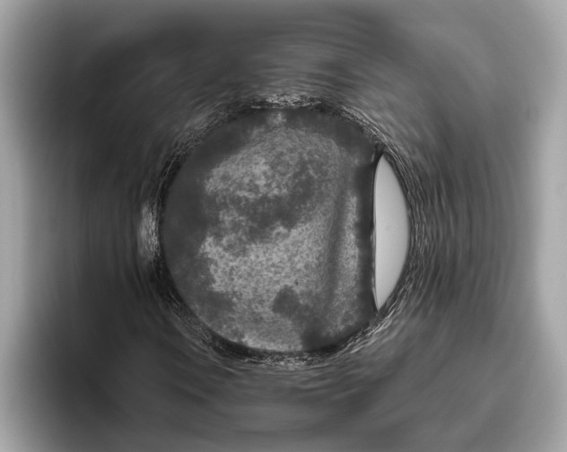 X0000096431106200802141426