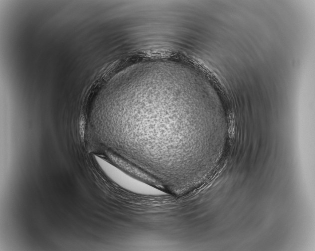X0000096431108200802141426