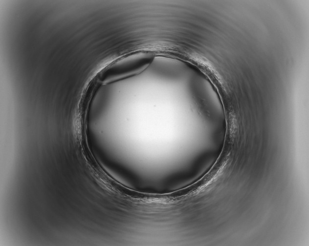X0000096431114200802141426