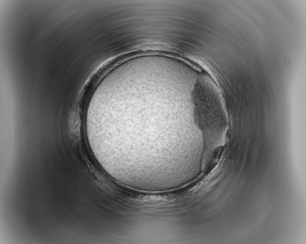 X0000096431115200802141426