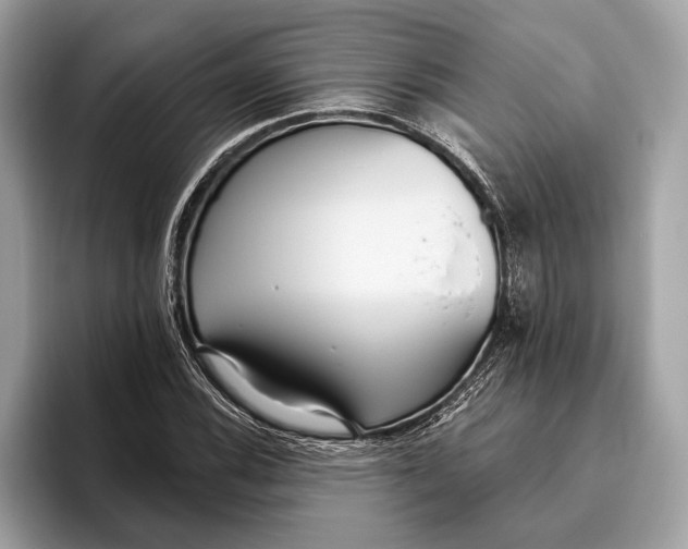 X0000096431116200802141426