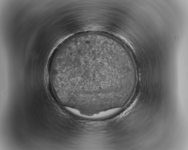 X0000096431117200802141426