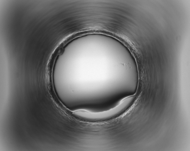 X0000096431118200802141426