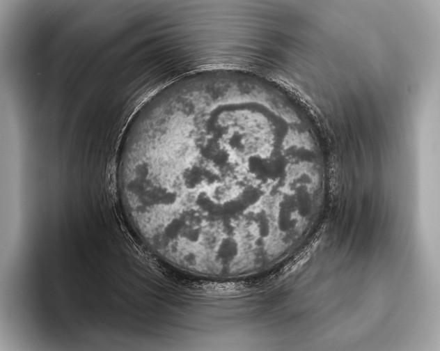 X0000096431121200802141426