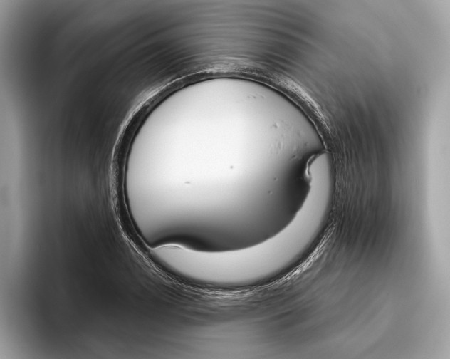 X0000096431122200802141426