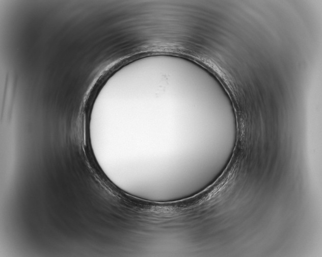 X0000096431123200802141426
