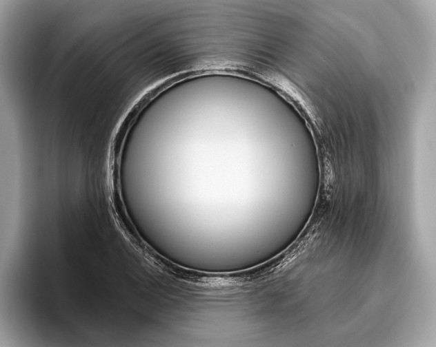 X0000096431124200802141426