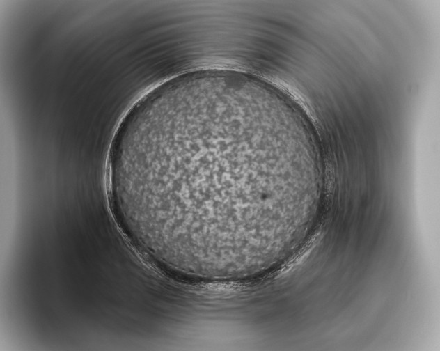 X0000096431125200802141426