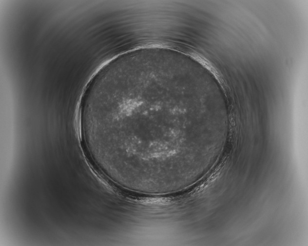 X0000096431127200802141426