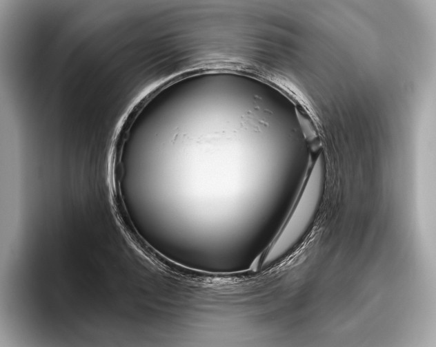 X0000096431128200802141426