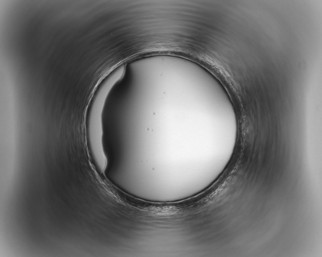 X0000096431129200802141426