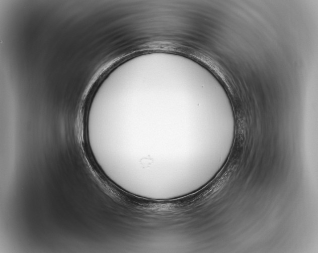 X0000096431131200802141426
