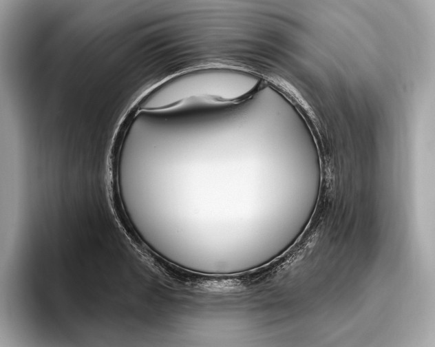 X0000096431133200802141426