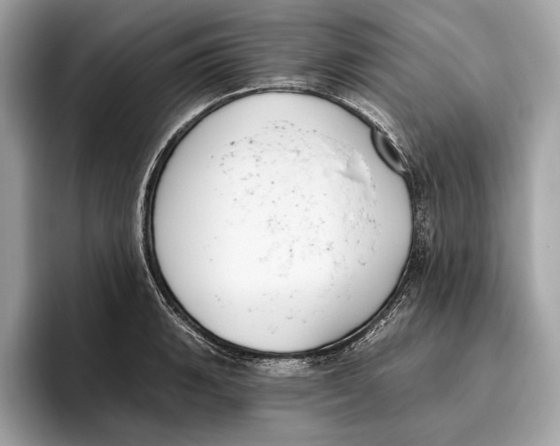 X0000096431135200802141426
