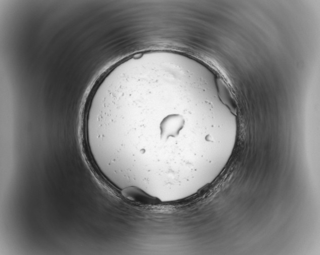 X0000096431136200802141426