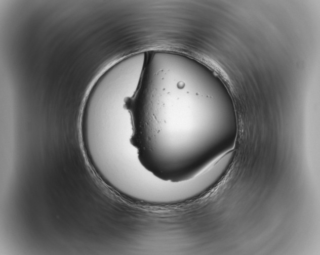 X0000096431138200802141426