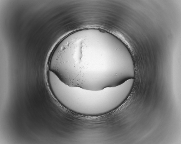 X0000096431140200802141426
