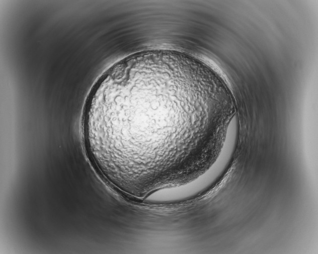 X0000096431141200802141426