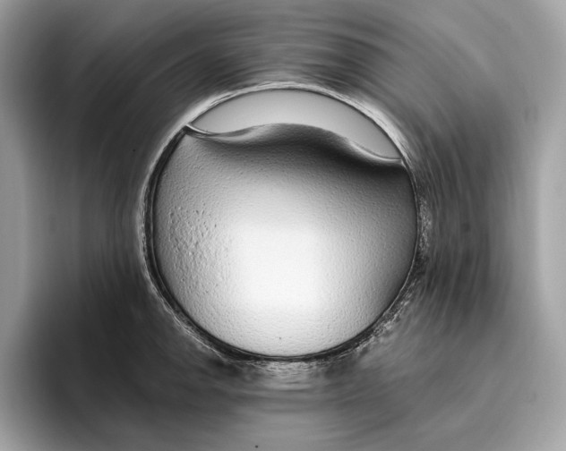 X0000096431142200802141426