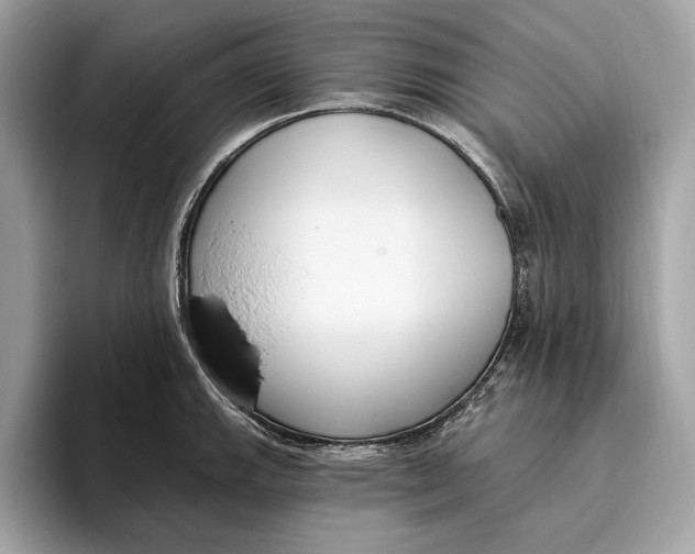 X0000096431143200802141426